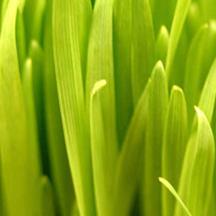 一键资源释放的平台在线ddos压力测试